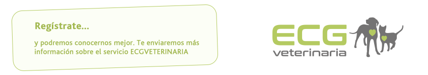 ECG Veterinaria