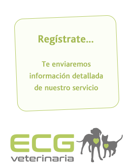ECG Veterinaria registro