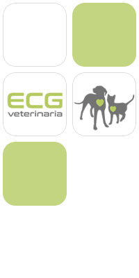 ECG Veterinaria fotomontaje