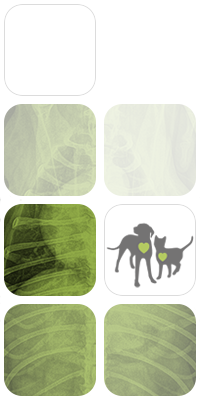 ECG Veterinaria fotomontaje