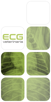 ECG Veterinaria fotomontaje